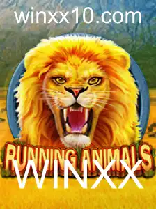 Explorando o Mundo de RunningAnimals: Um Guia Completo